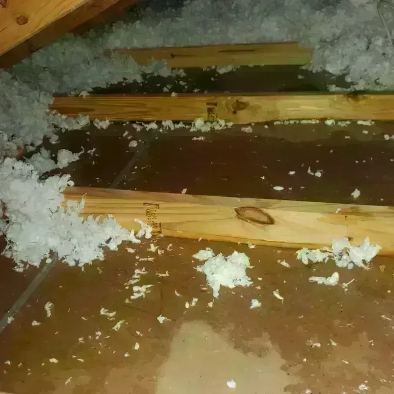 Attic Water Damage in Chico, CA