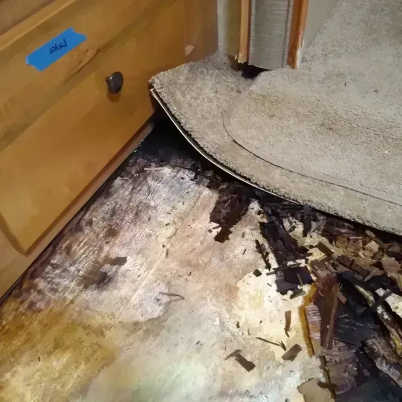 Wood Floor Water Damage in Chico, CA